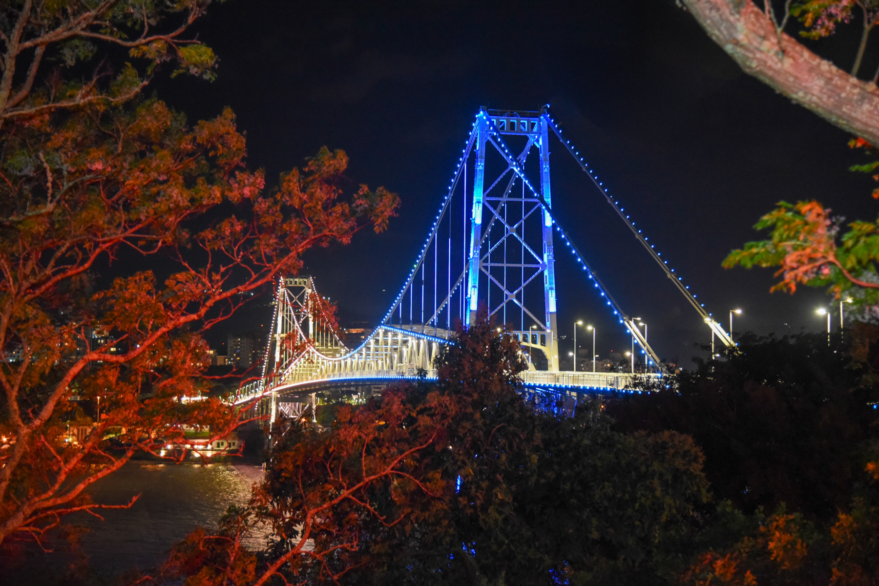 DSC_4914.png