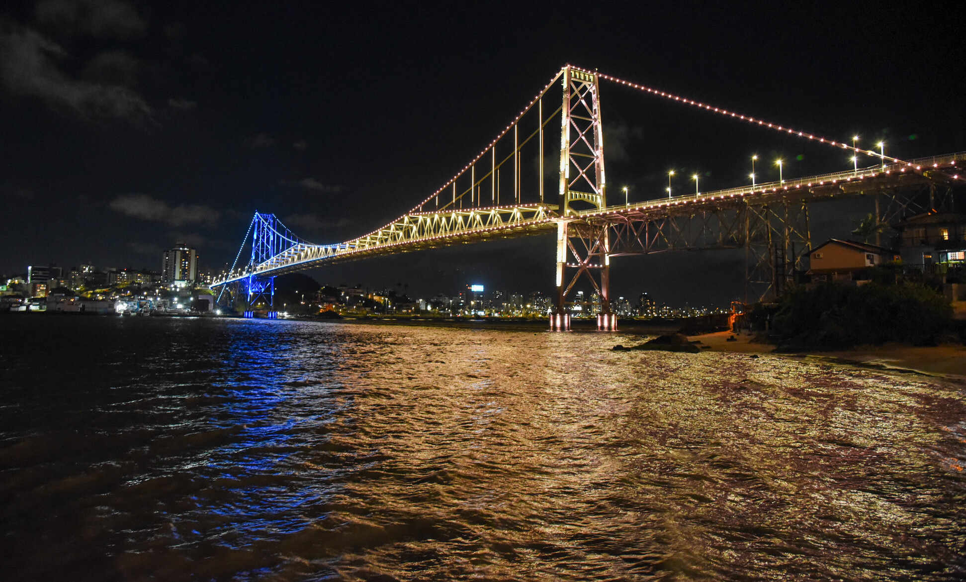 DSC_4982.jpg