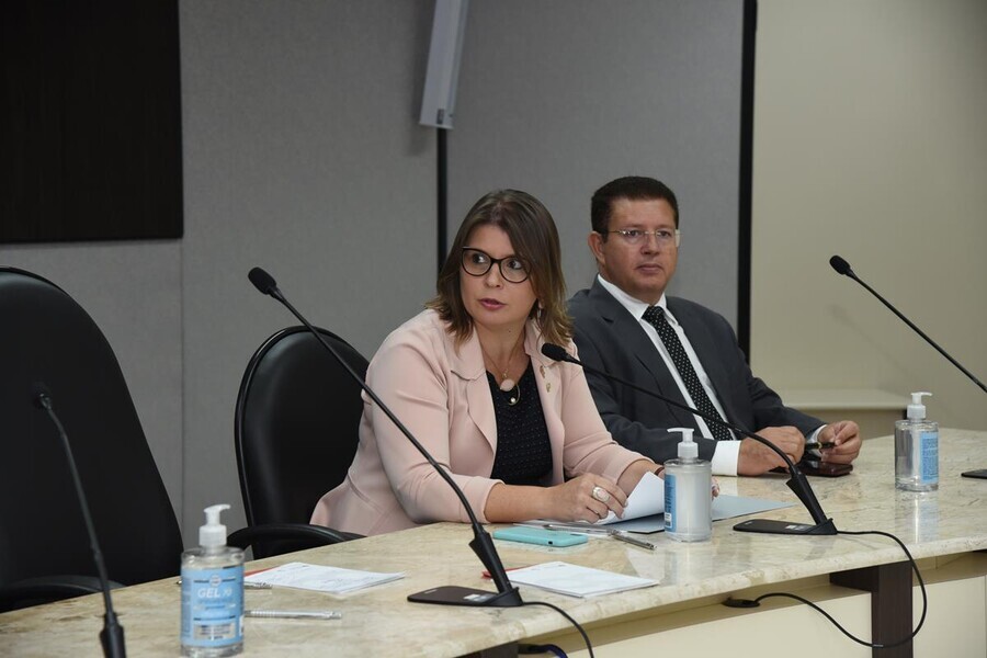 reuniao-plenaria-crcsc-25032022