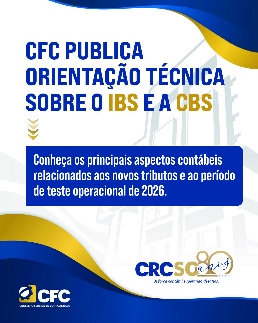 imagem (35).jpg